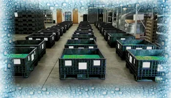 Dunnage Washing Clark Logic