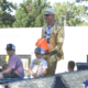 parade